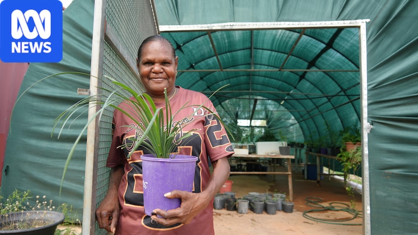 Julalikari council and Tennant Mines team up to help Indigenous residents work at Nobles Nob