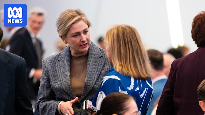 Queensland government defends $40m cut to family violence prevention funding