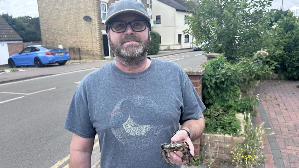 A man in a light blue T-shirt, baseball cap and glasses standing in front of a residential road while holding a black and beige crab.