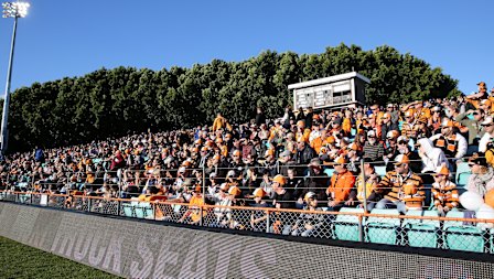 Leichhardt Oval has affectionately been dubbed the “Eighth wonder of the world”.
