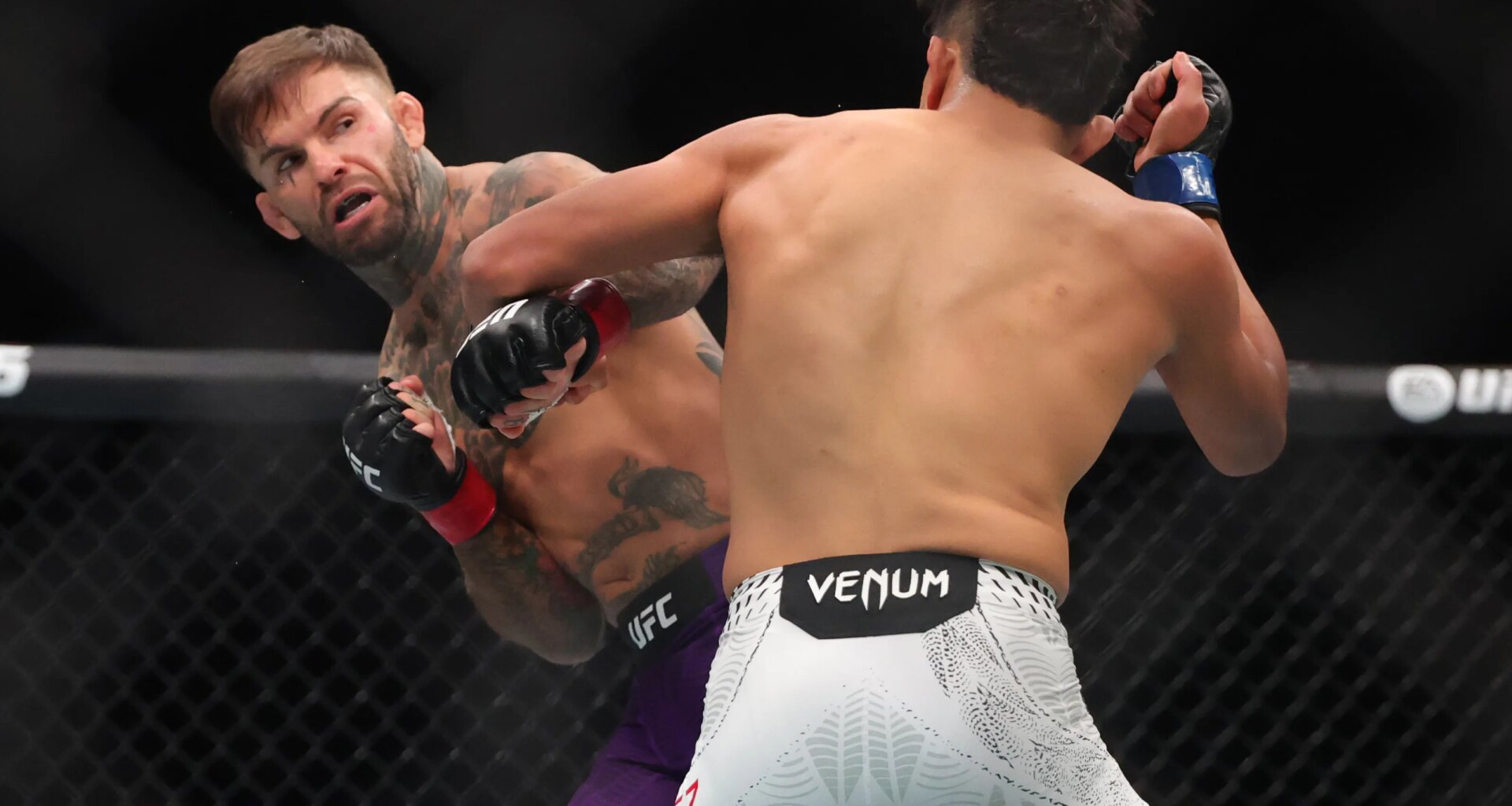 T.J. Dillashaw: Cody Garbrandt's UFC 329 KO loss was 'depressing'