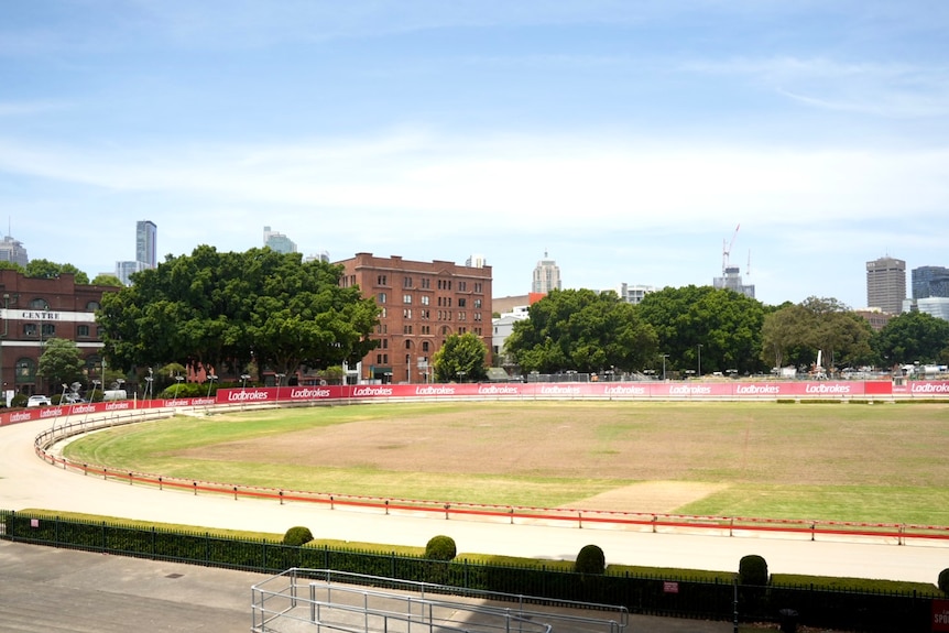 Wentworth Park Greyhound track in Glebe