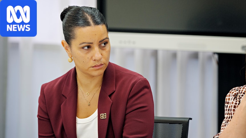 Meta grilled at racism inquiry over lack of Indigenous content moderators