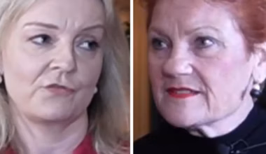 Pauline Hanson jokes about ‘rounding up’ Australians in Liz Truss interview
