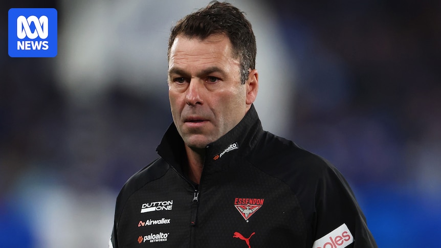 Dean Solomon yet to make decision on Bombers AFL coach role after James Hird confirms candidacy