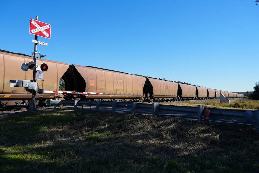 A train is stationary at a level crossing.