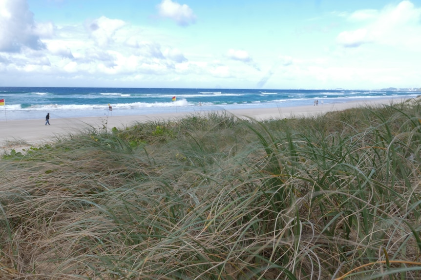 Windy dunes with surf behind