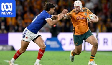 Wallabies coach Joe Schmidt gambles with selections in Test farewell against Italy in Perth