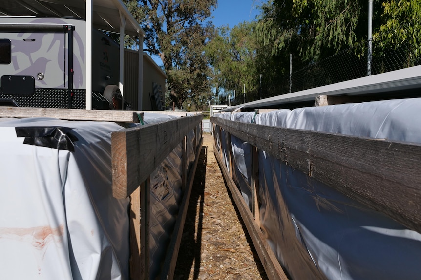 Two wooden crates of building materials wrapped in white plastic with trees in background