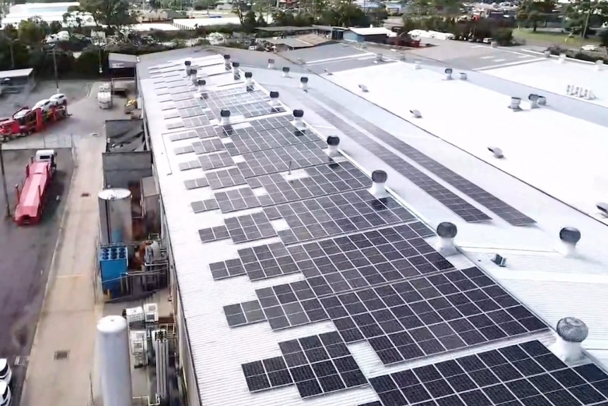An aerial view of a factory roof covered in solar panels.