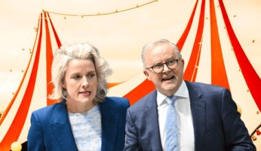 Labor has detonated the property market with a carnival grifter-esque Budget con job that