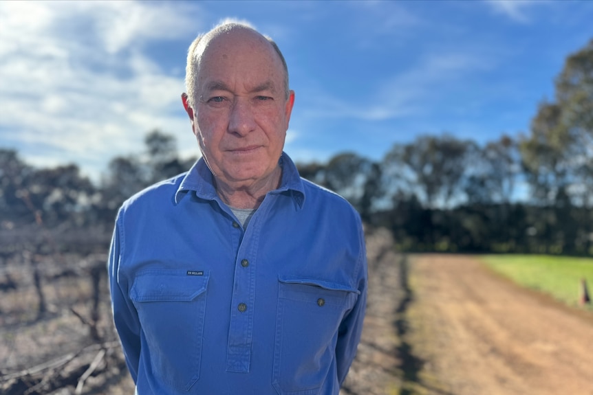 John wears a blue shirt pictured in a vineyard