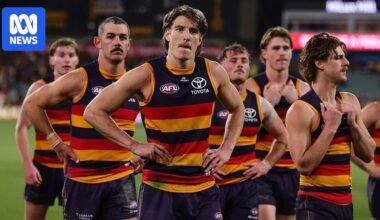 Adelaide Crows player Josh Worrell to face court over Port Road crash