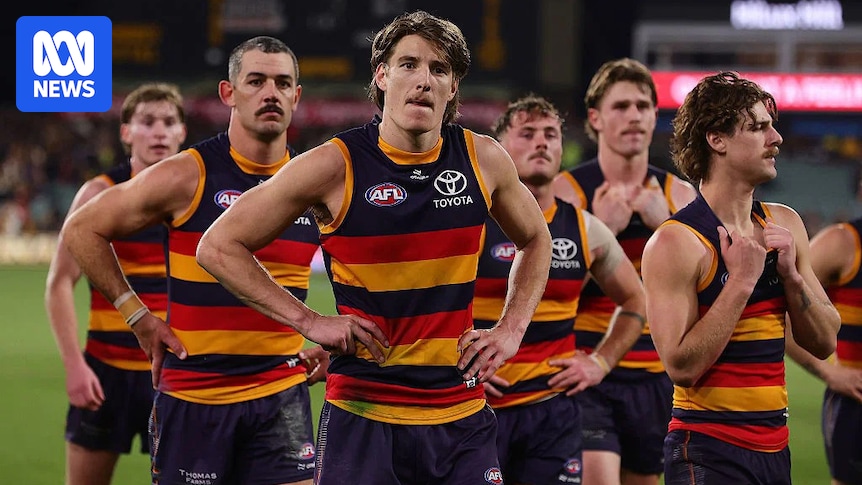 Adelaide Crows player Josh Worrell to face court over Port Road crash