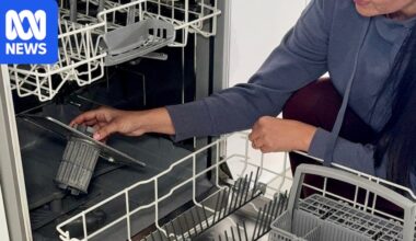 The bare-minimum approach to cleaning your dishwasher and why it matters