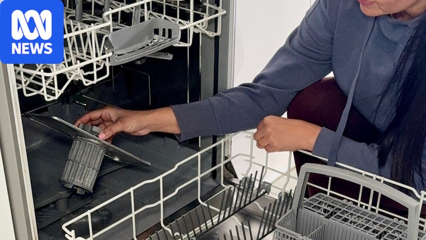 The bare-minimum approach to cleaning your dishwasher and why it matters