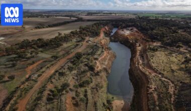 WA's sheep-farming heartland poised for rebirth of Katanning Gold Project