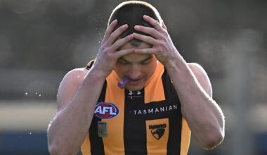 Hawthorn vs Melbourne LIVE: AFL round 17 2026, scores, results, odds, stats and start time from UTAS Stadium