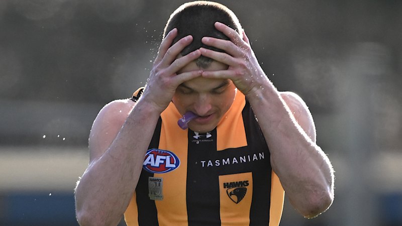 Hawthorn vs Melbourne LIVE: AFL round 17 2026, scores, results, odds, stats and start time from UTAS Stadium