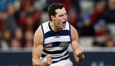 Melbourne vs Geelong Cats LIVE: AFL round 20 2026, scores, results, odds, stats and start time from the MCG