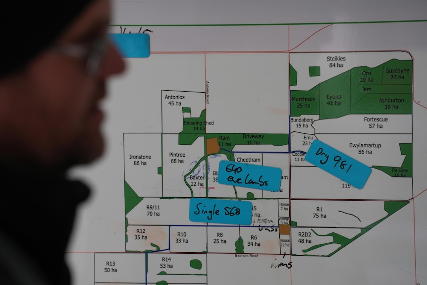 A map of fields indicating tree plantings