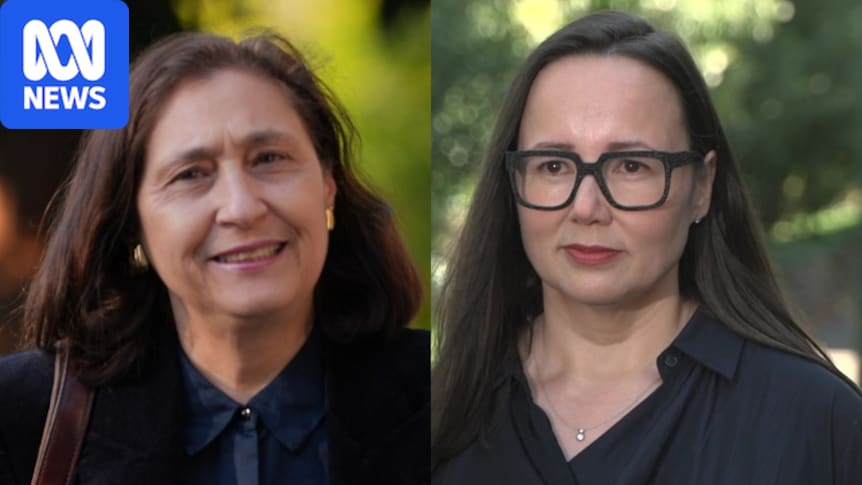 Victorian ministers Harriet Shing and Lily D'Ambrosio announce retirement