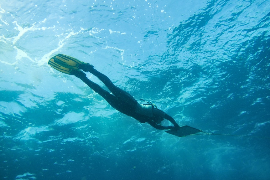 Someone swimming underwater.