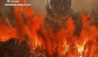 Australia sends firefighters to France as Europe enters new era of megafires