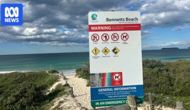 NSW confirms first case of deadly bird flu strain H5N1 on Mid North Coast