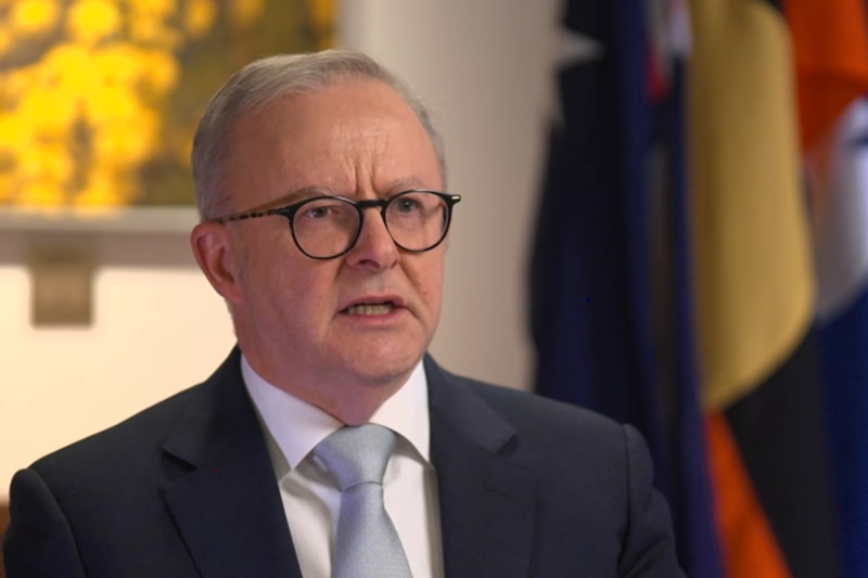 a middle aged white man with receding grey hair and glasses weaing a suit sitting in front of a painting of wattle and flags