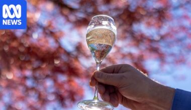 Australian wine exports slump amid global decline in alcohol consumption