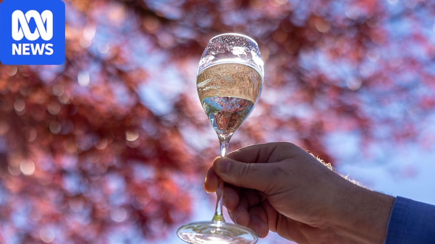 Australian wine exports slump amid global decline in alcohol consumption