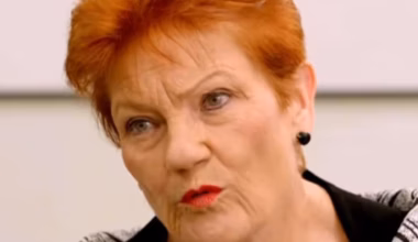 Pauline Hanson: One Nation leader plans for ‘mass deportations’ from Australia