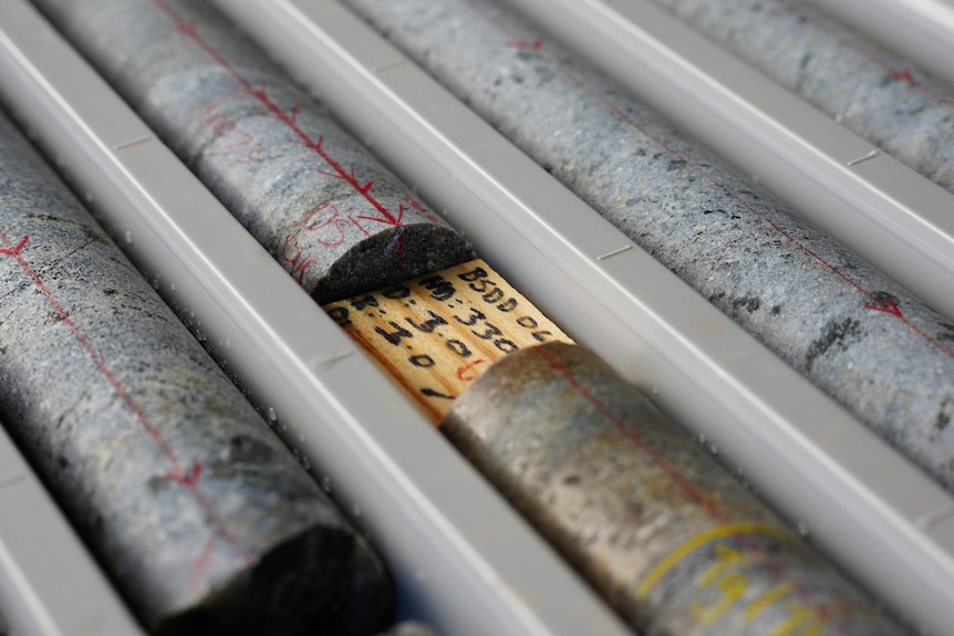 Cylindrical core samples of rock on a table 