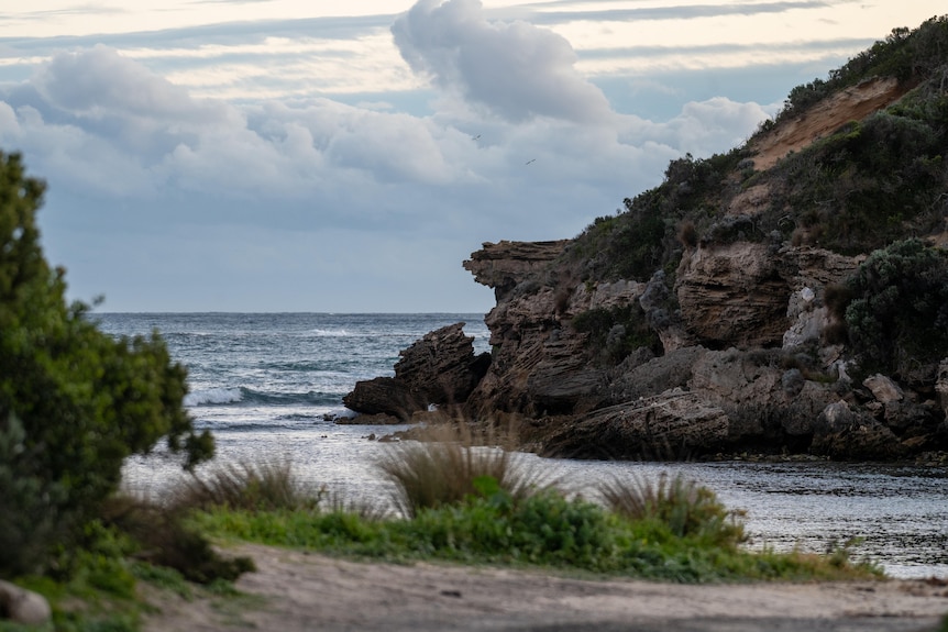 Cape Northumberland near Port MacDonnell.