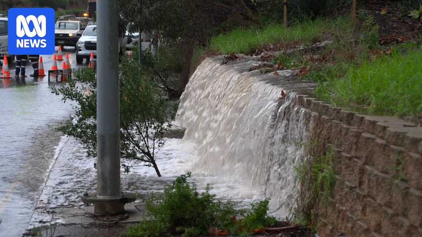 Adelaide gets 70 per cent of July rain in one day, farmer has 228.5 reasons to smile