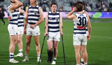 Cats star to undergo surgery after scans reveal extent of ankle injury