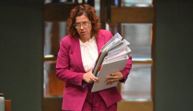 AI not yet driving large-scale job loss in Australia, department says