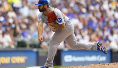 Cubs Designate Bryse Wilson For Assignment