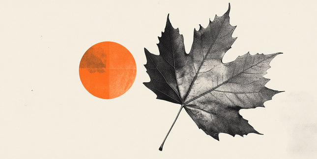 Canadian Dollar: Labor stability favors BoC pause – Wells Fargo