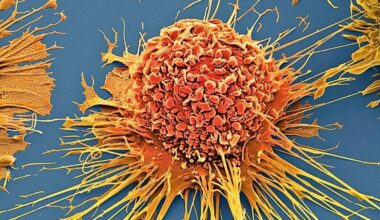 Scientists Destroy 99% of Cancer Cells in Lab Using Vibrating Molecules : ScienceAlert