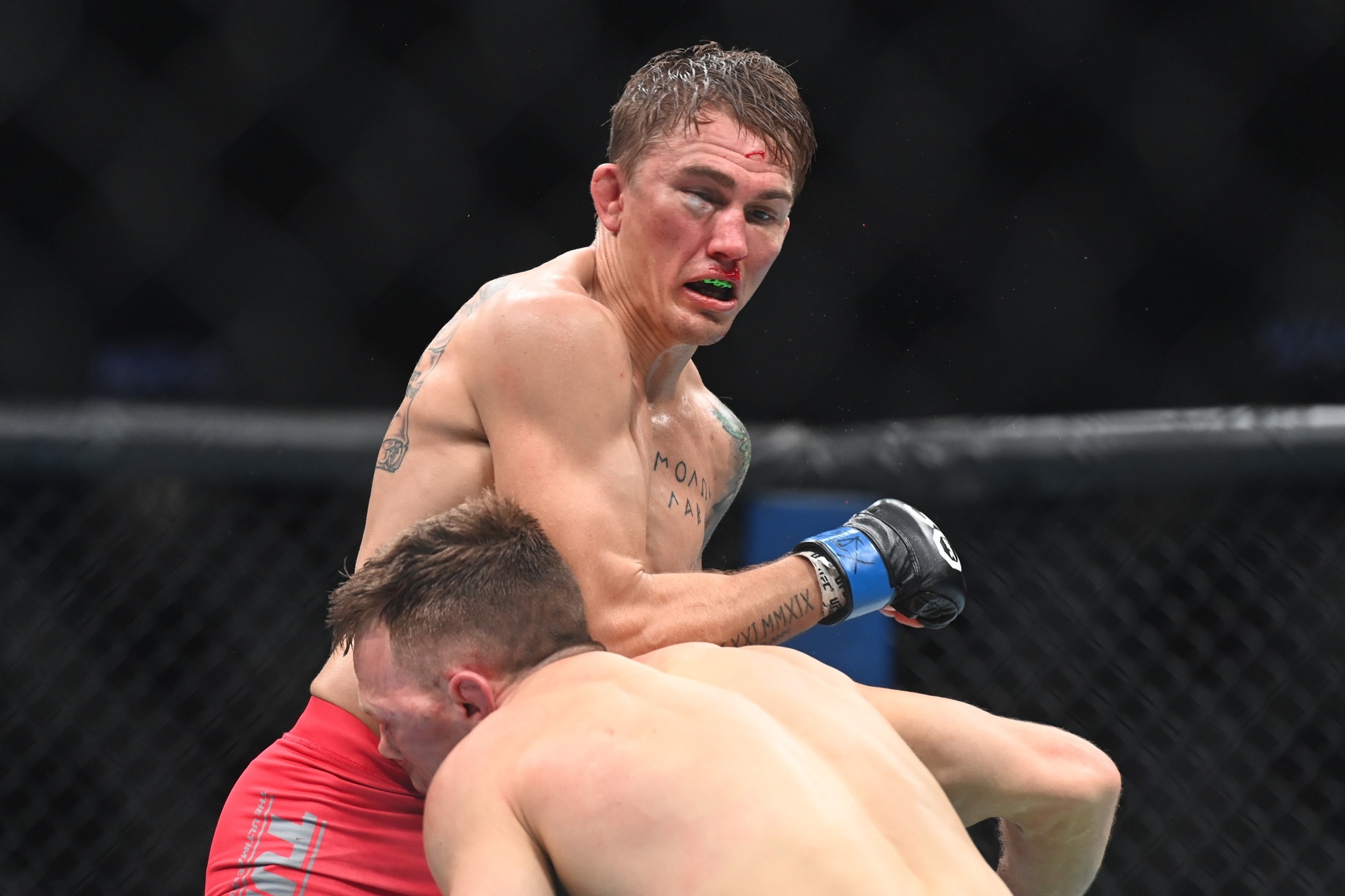 Gibson of the UFC