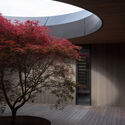 © Biddi Rowley Oculus House / Condon Scott Architects - Image 4 of 15