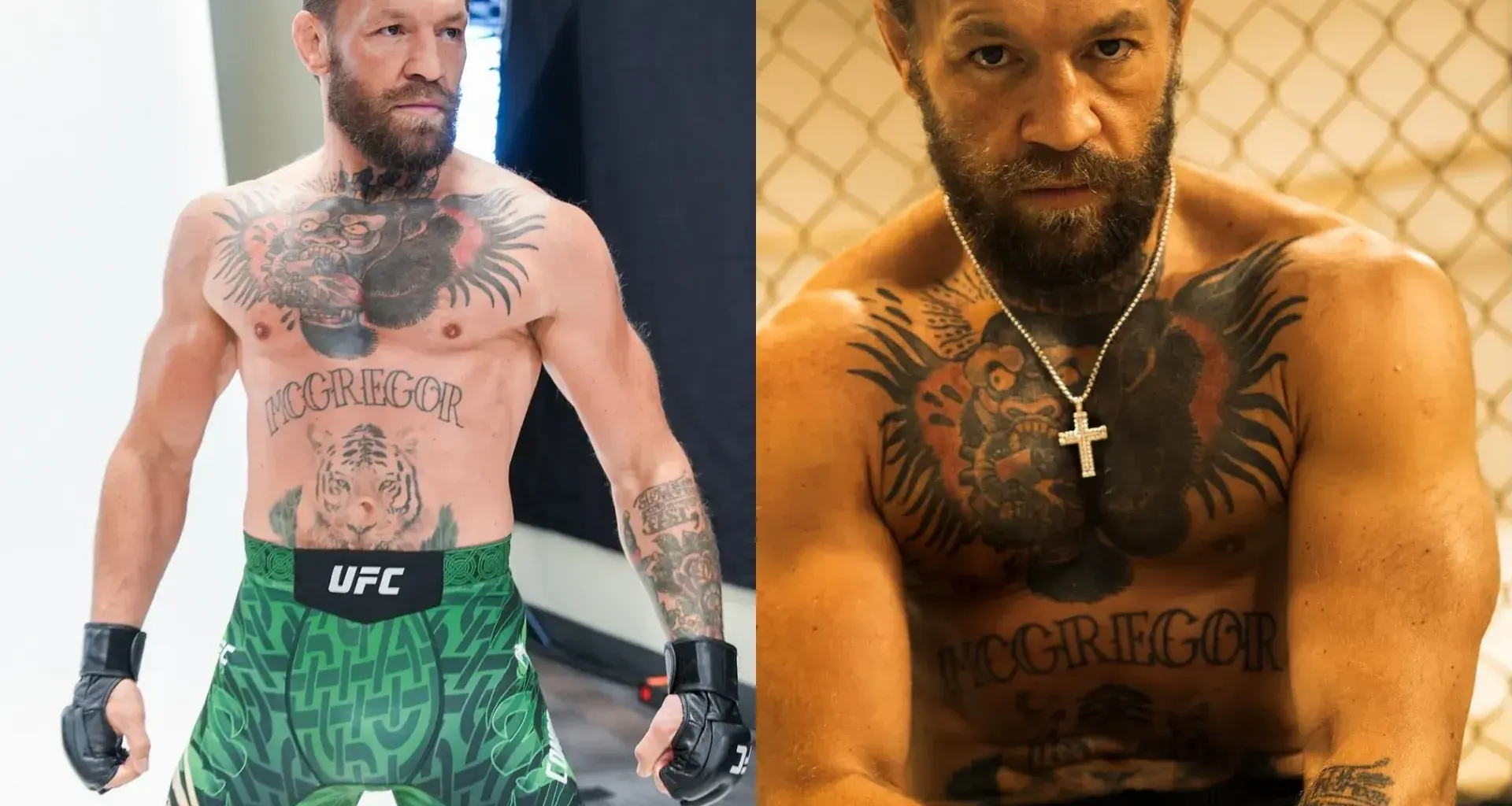 Conor McGregor Instagram post screengrab