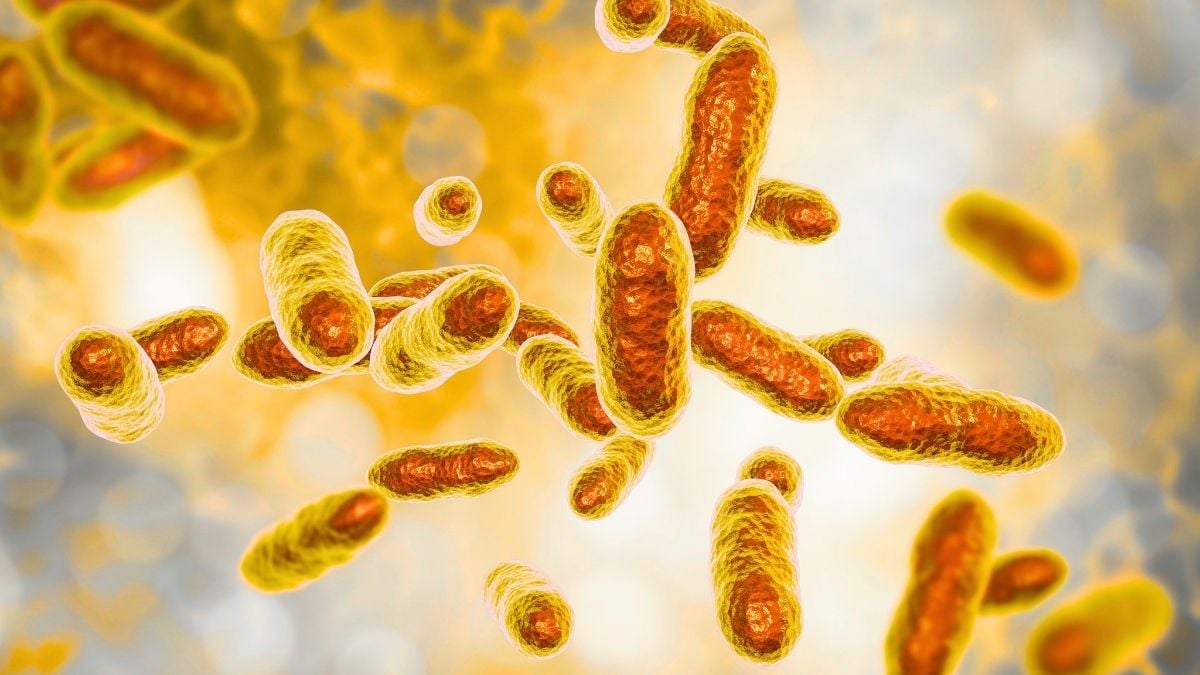 Uranium-Eating Bacteria Leave Just 5% of The Radioactive Metal in Toxic Mine Water, Scientists Discover : ScienceAlert