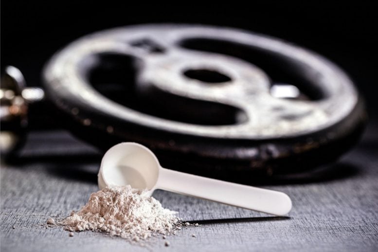 Creatine