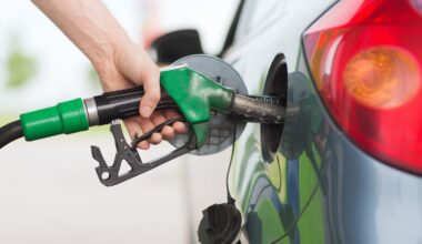 ‘Fuel prices remain a wild card’ – CPI inflation tipped to top 4%
