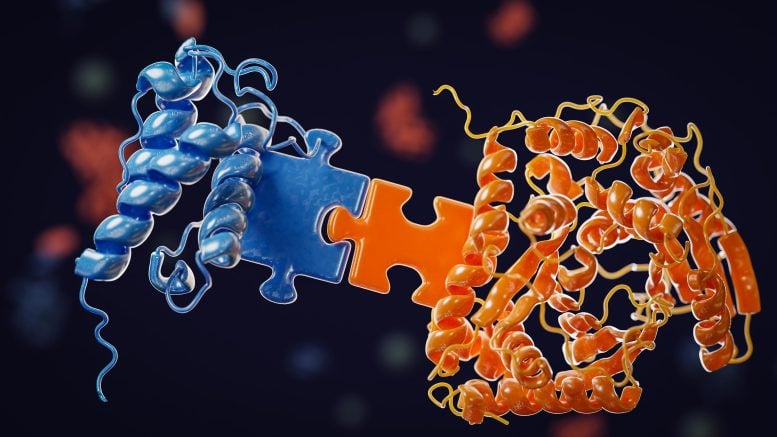 Docking Domains Bacterial Drug Assembly