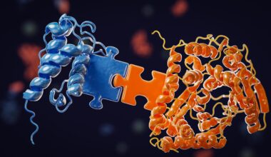 This Tiny Bacterial Secret Could Lead to Better Cancer Drugs