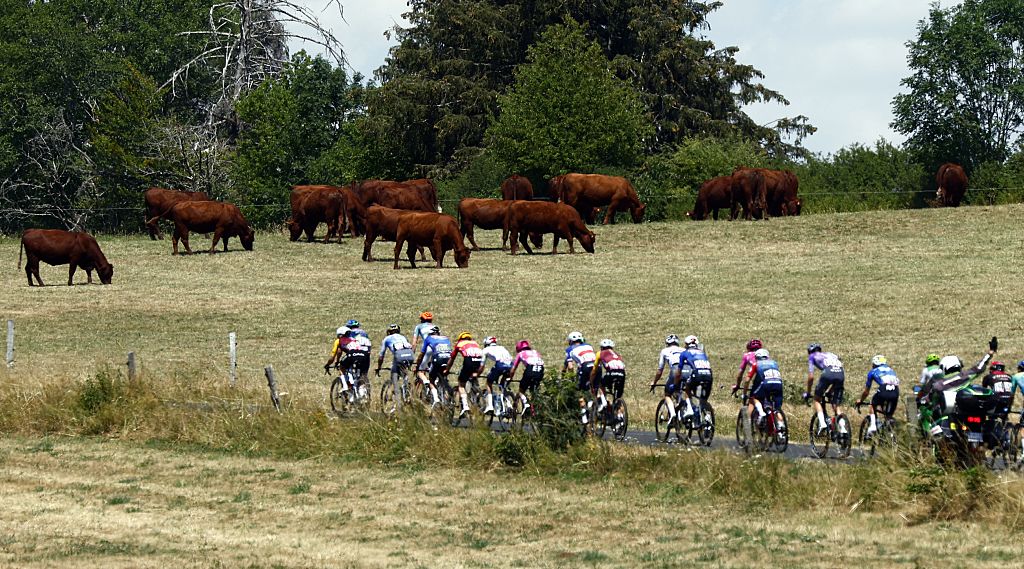 The pack of riders pictured in action during the stage 10 of the 2026 Tour de France cycling race, a stage of 167km from Aurillac to Le Lioran, on Tuesday 14 July 2026. The 113th edition of the Tour de France starts on Saturday 4 July in Barcelona, Spain, and will finish in Paris, France on the 26th of July. BELGA PHOTO POOL LUCA BETTINI (Photo by POOL LUCA BETTINI / BELGA MAG / Belga via AFP)